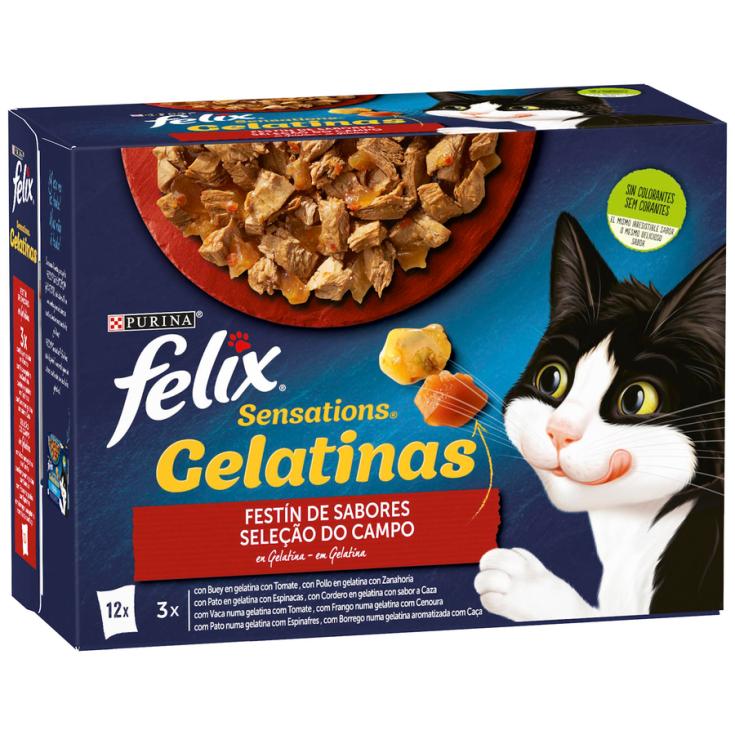 COMIDA HÚMEDA GATO CARNE GELATINA FELIX PURINA P12 85G/U