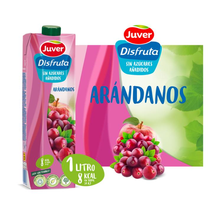 NECTAR ARANDANOS S/AZUC DISFRUTA JUVER 1L