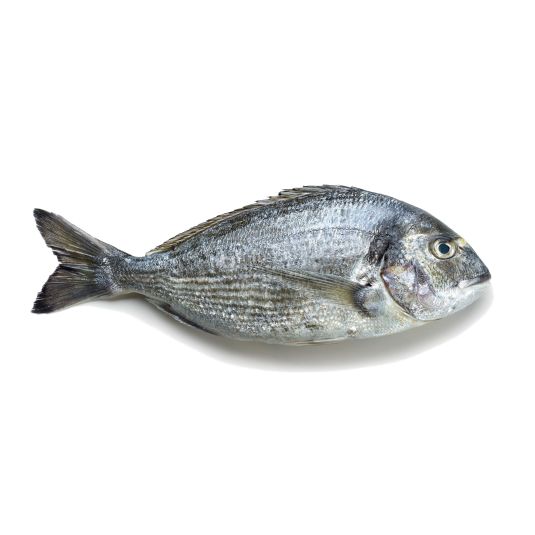 DORADA 800/1 KG